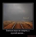 getImage (1).webp