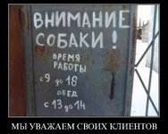164374_306949.jpg
