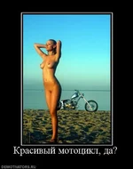 y_74250bc3.webp