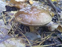 30102012412.jpg