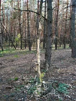 PA270767_960.jpg
