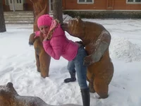206088.webp