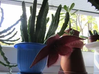 IMG_0327.jpg