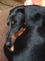 IMAG0135.jpg