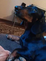 IMAG0248.jpg