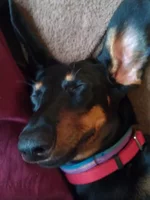 IMAG0179.jpg