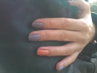 WP_001673.webp