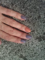 WP_001672.webp