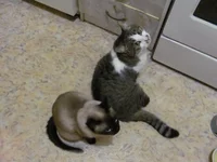  с Манюней.webp