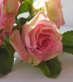 210670-fd60a-47818060-m750x740-u6498d.webp