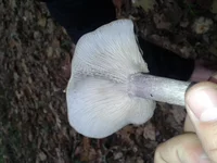 20121103_092729.webp