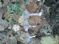 20121103_092735.webp