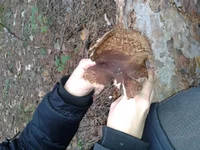 20121103_111526.webp