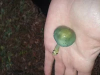 20121103_100027.webp