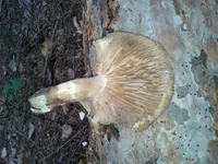 20121103_111536.webp