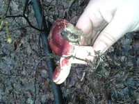 20121103_132905.webp