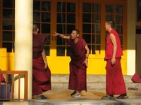 IMG_1184 (Small).webp