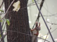 DSCN2759.webp