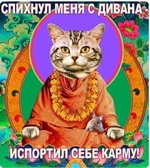 PkDXsXyQ79A.webp