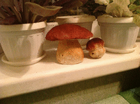 IMG_0267.gif