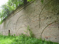 P1010130.JPG