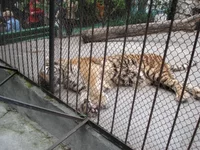 DSC04162.webp