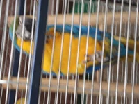 DSC04166.webp