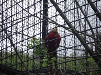 DSC04183.webp