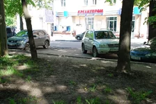 54.jpg
