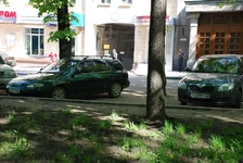 55.webp