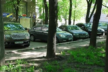 56.jpg