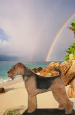  109 (копия) копия.webp