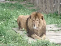 DSC04229.webp