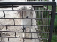 DSC04234.webp