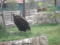 DSC04240.webp