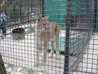 DSC04264.webp