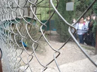 DSC04284.webp