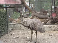 DSC04291.webp