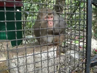 DSC04309.webp