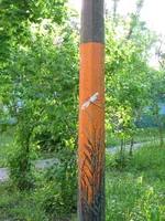 IMG_0042.webp