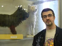 14-Любимые собачки.webp