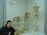 15-Эволюция справа налево.webp