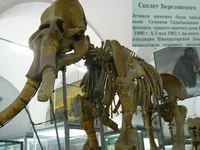 22-Где прячется Березовский.webp