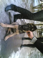 24022008(001).webp