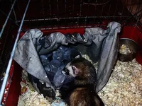 кошмар.jpg