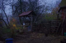IMGP8711.webp