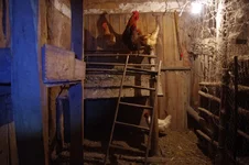 IMGP8707.webp