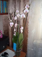 DSCN2202.JPG