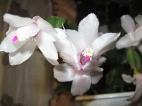 IMG_2285.jpg