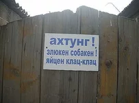  собакен.webp